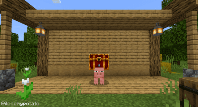 Pig with a chest