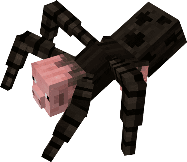 Spider pig mutant