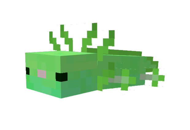 Green axolotls