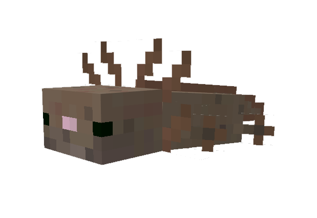 Brown axolotls