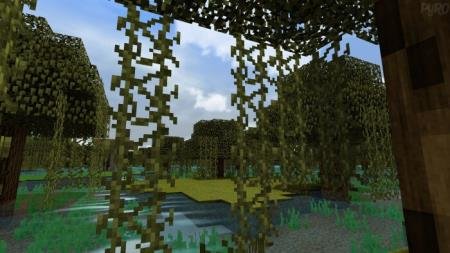 Vines hanging from trees in the swamp biome