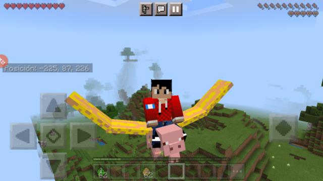 Player riding a flying pig