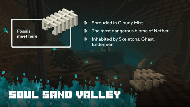 Description of the Soul Sand Valley