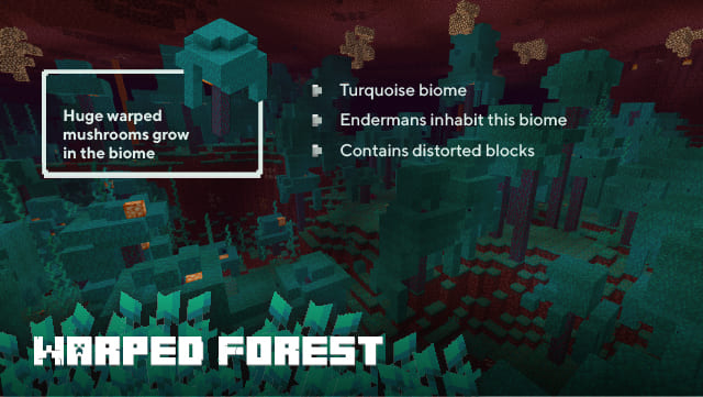 Description of the Warped Forest
