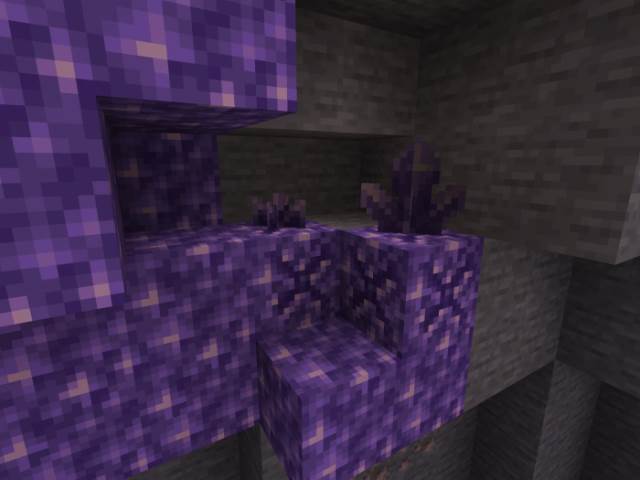 Amethyst blocks in the cave