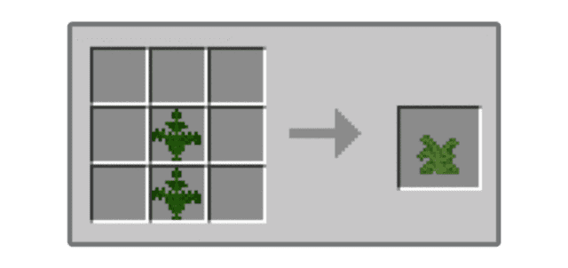 Recipe for crafting a tall fern