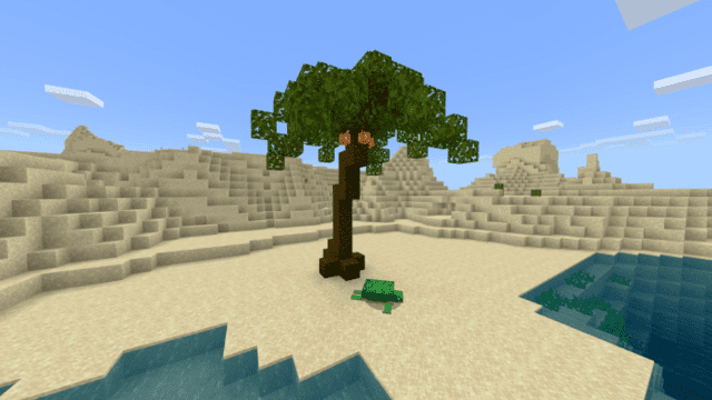 Palm tree 1