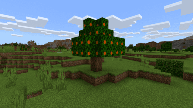Orange tree 2