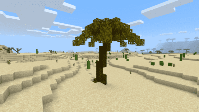 Desert palm 2