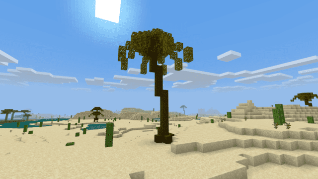 Desert palm 1