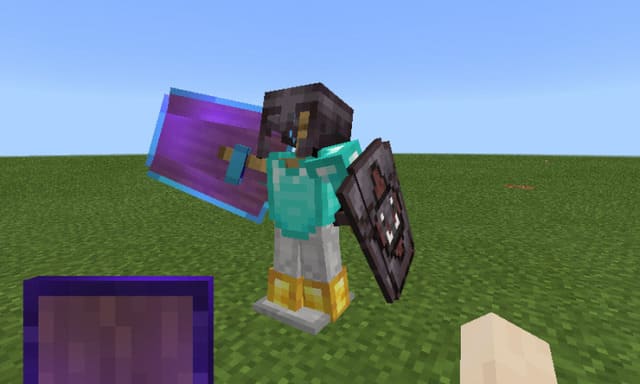 Player with two shields