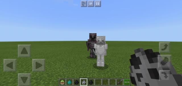 Skeleton Knight and Skeleton Knight Wither