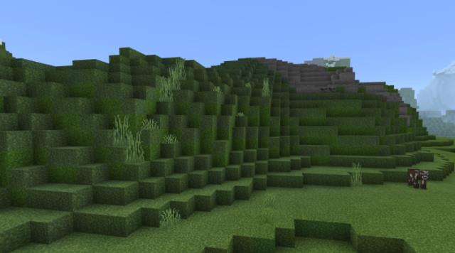 Full grass blocks