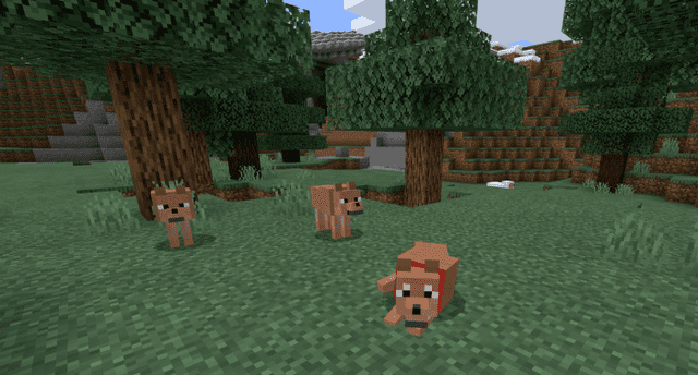 Mod Wolves For Minecraft Pe, How To Make A Dog Bed In Minecraft No Mods