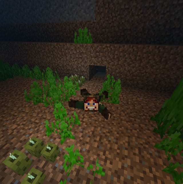 The player is crawling underwater