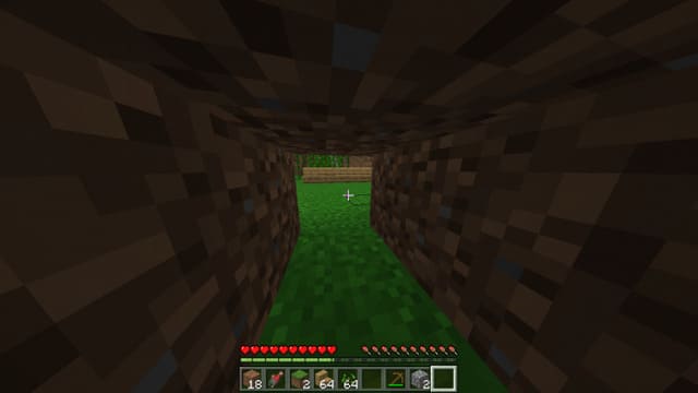 View from the player under the block