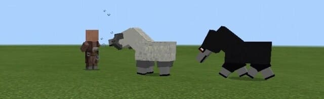 Two Sheep of Ovis