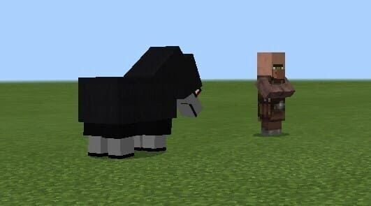 Ovis black sheep