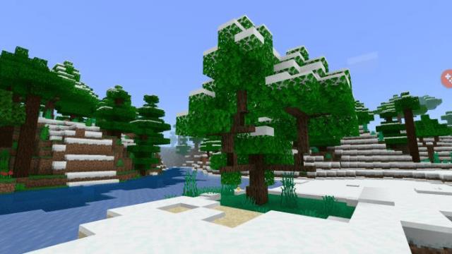 Snow biome with trees