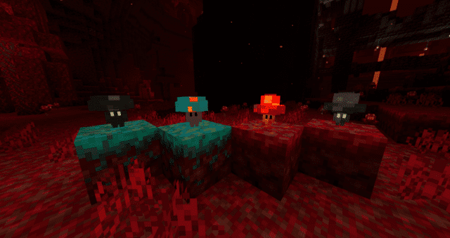 The four types of nether evil mushrooms